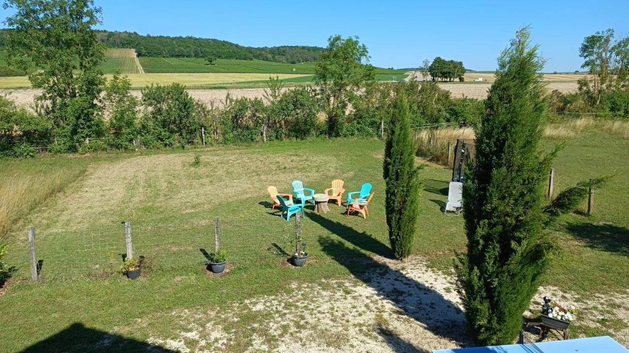 Seine En Bulles Villa Bar-sur-Seine Kültér fotó